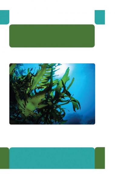 Natural Polymers for Pharmaceutical Applications