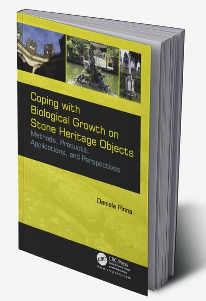 Coping with Biological Growth on Stone Heritage Objects