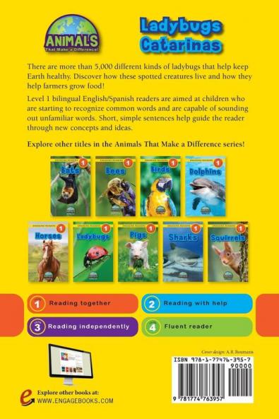 Ladybugs / Catarinas