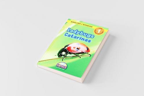Ladybugs / Catarinas
