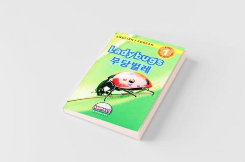 Ladybugs / 무당벌레: Bilingual (English / Korean) (영어 / 한국어)
