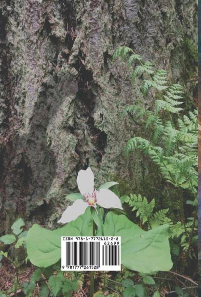 The Tree at the Heart of the Wood