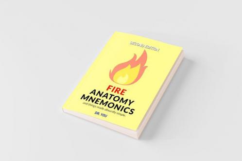 Fire Anatomy Mnemonics (and things made absurdly simple)