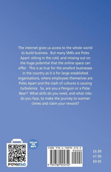 Poles Apart - Challenges for Business in the Digital Age