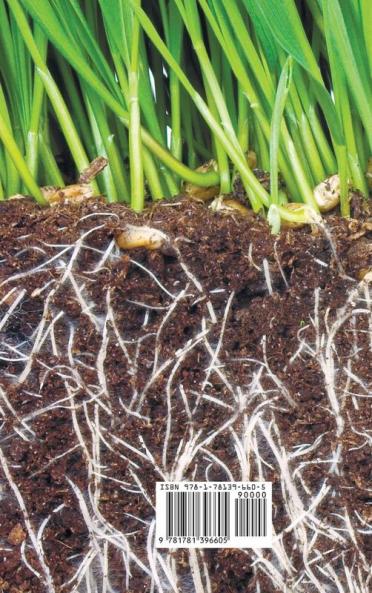 The Soil and Health