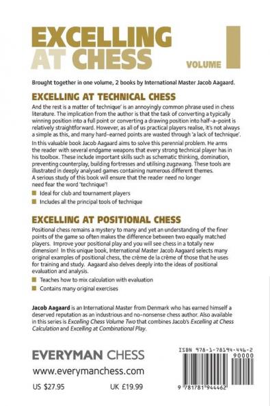 Excelling at Chess Volume 1. Technical and Positional