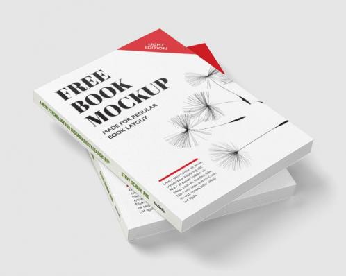 New Psychology for Sustainability Leadership