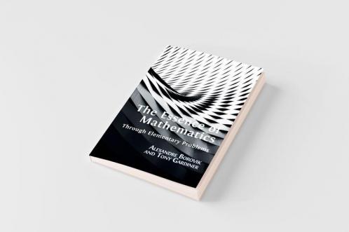 The Essence of Mathematics Through Elementary Problems