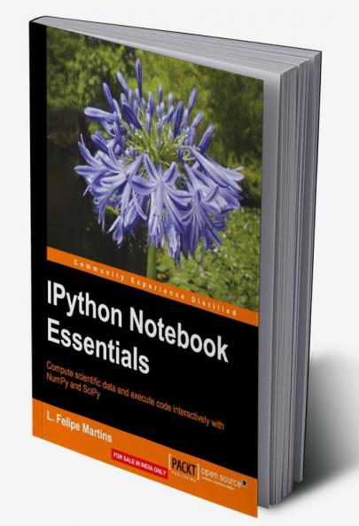IPython Notebook Essentials