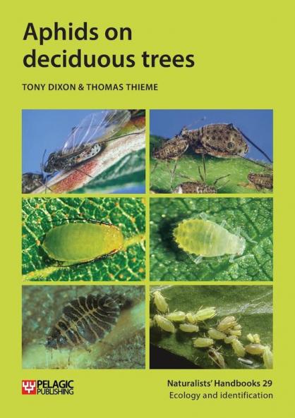 Aphids on deciduous trees