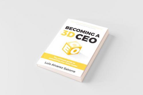 Becoming a 3D CEO