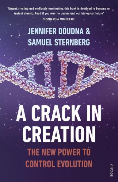 Crack in Creation A