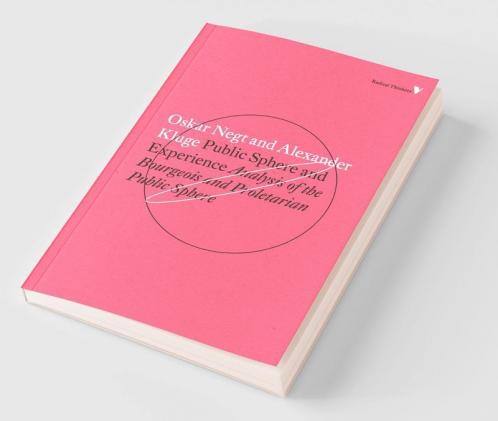 Public Sphere and Experience