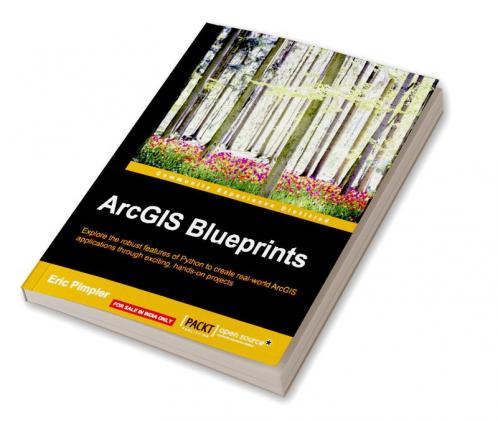 ArcGIS Blueprints