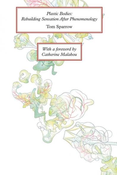 Plastic Bodies: Rebuilding Sensation After Phenomenology (New Metaphysics)