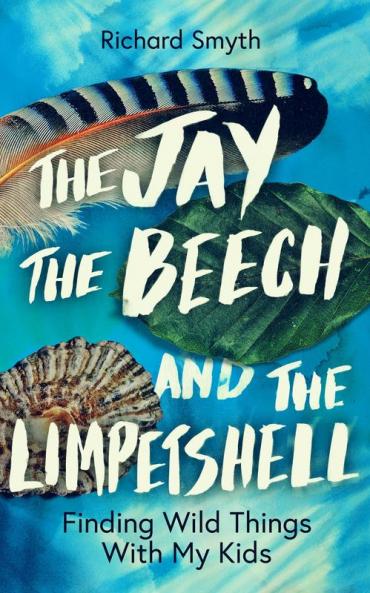 The Jay The Beech and the Limpetshell