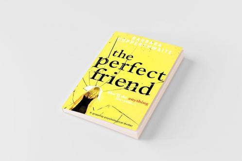 The Perfect Friend