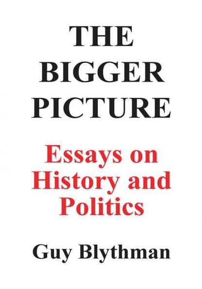 The Bigger Picture: Essays on History and Politics