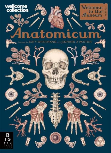 ANATOMICUM