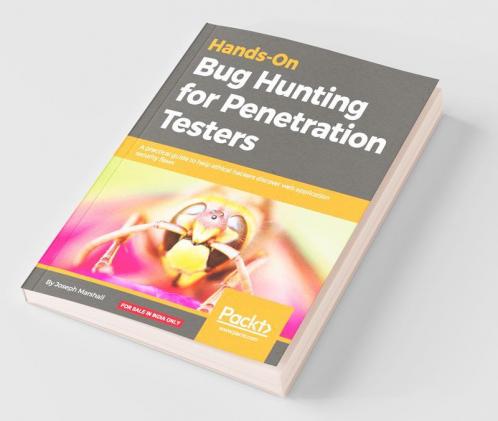 Hands-On Bug Hunting for Penetration Testers