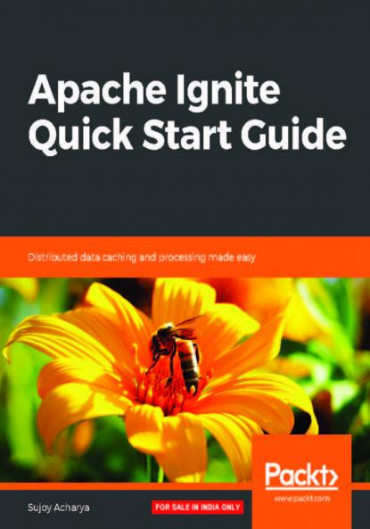 Apache Ignite Quick Start Guide