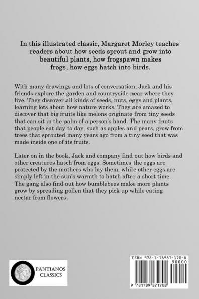 Seed-Babies: An Illustrated Children's Story of Plants Eggs and Seeds in Nature