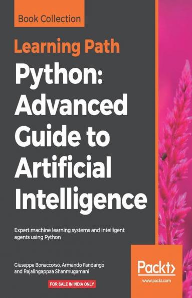 Python Advanced Guide to Artificial Intelligence
