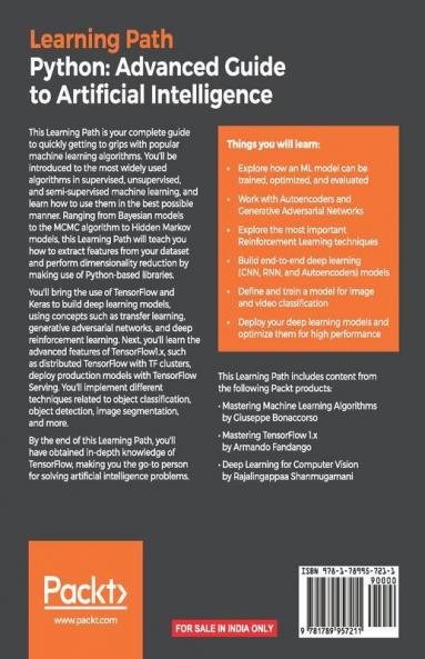 Python Advanced Guide to Artificial Intelligence