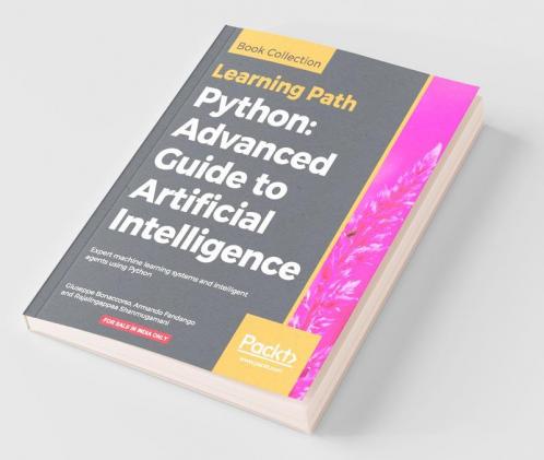 Python Advanced Guide to Artificial Intelligence