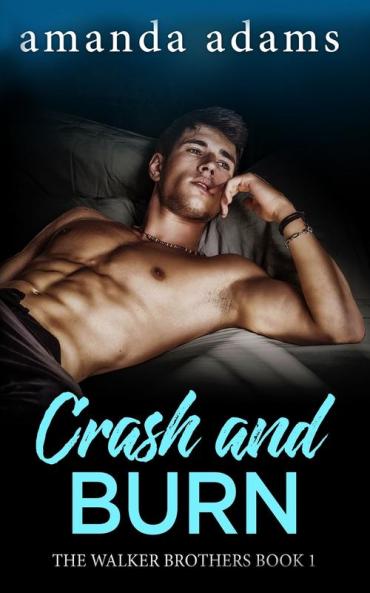 Crash and Burn: 1 (The Walker Brothers)