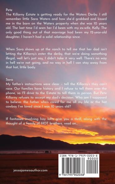 How to Love a Cowboy: 1 (Cowboy Romance)