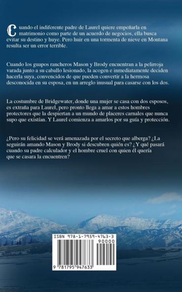 La novia descarriada: 2 (La Serie de Bridgewater)