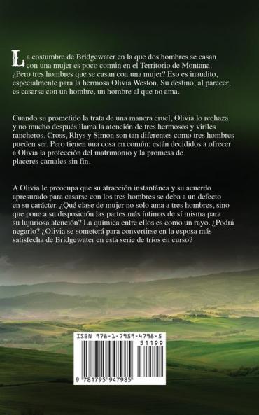 La novia cautivada: 3 (La Serie de Bridgewater)