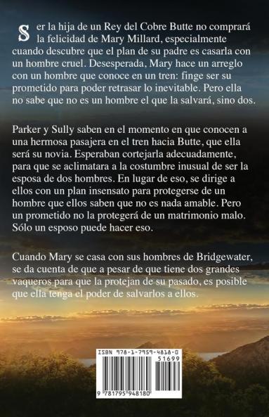 La Novia Robada: Letra grande: 7 (La Serie de Bridgewater)