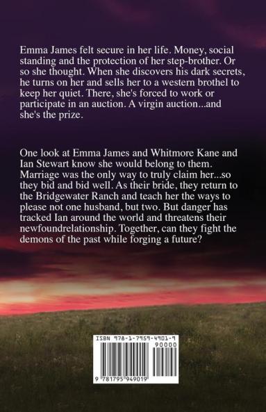 Their Kidnapped Bride: Large Print: 1 (Bridgewater)