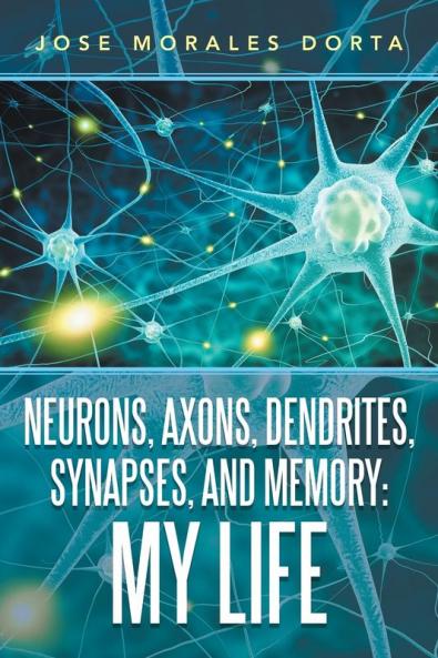Neurons Axons Dendrites Synapses and Memory