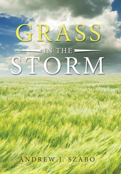 Grass in  the  Storm
