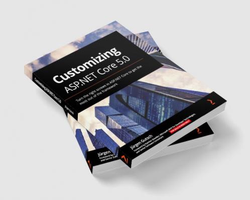 Customizing ASP.NET Core 5.0