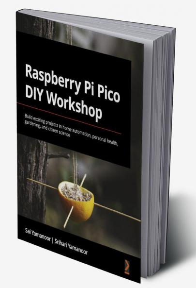 Raspberry Pi Pico DIY Workshop