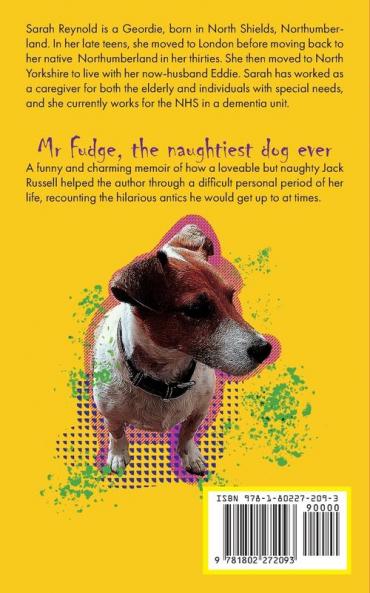 Mr Fudge