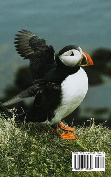 Discover the animal's real life Explore: Explore animal habitats