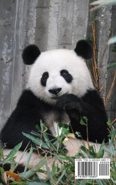 Wild animals: Discover the animals