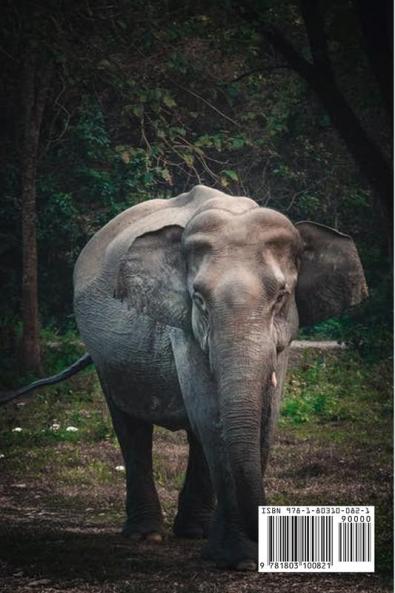 True Animals: Photo album