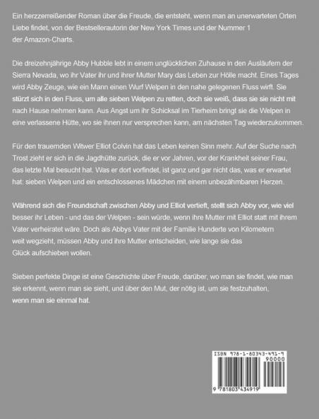 Sieben perfekte Dinge: Ein Roman