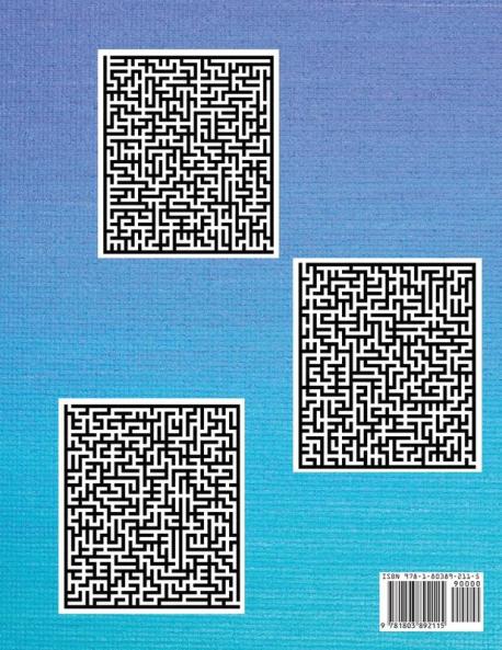 Mazes - Puzzle Book For Seniors: Hard and Confusing Puzzles for Grown-Ups Seniors and all other Puzzle Fans