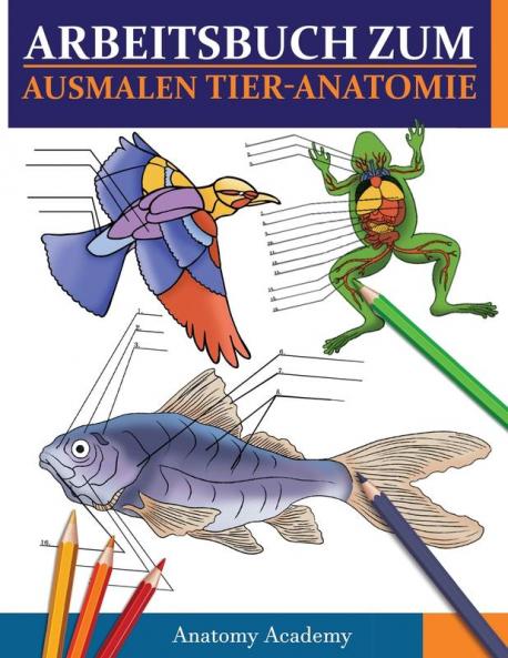 Arbeitsbuch Zum Ausmalen Tier-Anatomie