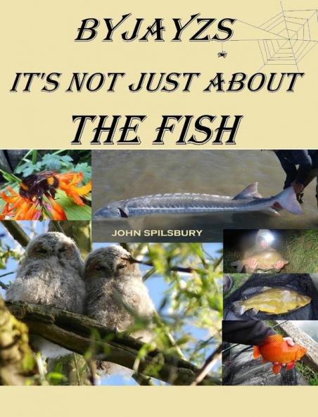 It's Not Just About the Fish