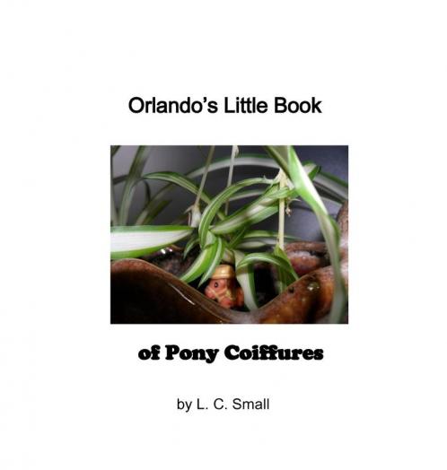 Orlando's Little Book of Pony Coiffures (Pony Coiffures Series)