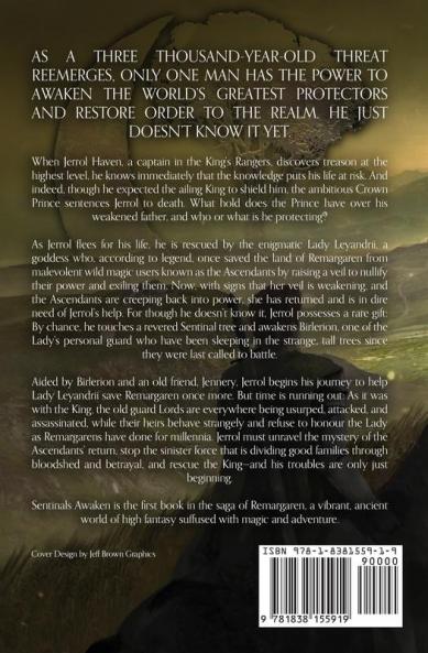 Sentinals Awaken: 1 (Sentinal Series)