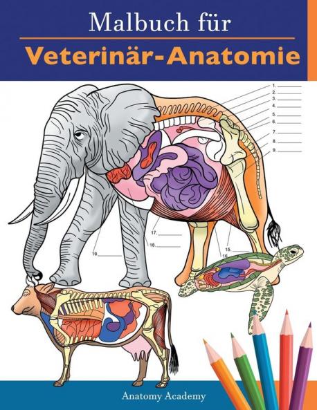 Malbuch für Veterinär-Anatomie: Tierphysiologie-Selbstquiz Arbeitsbuch zum Lernen und Entspannen | Perfektes Geschenk für Tiermedizin-Studenten und sogar Erwachsene